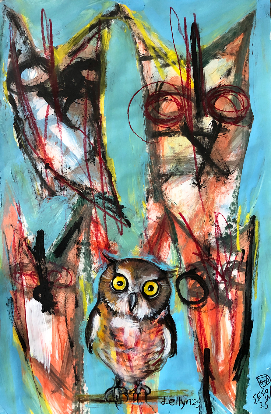 4 abstract 1 realistic owls in black white and red on blue background